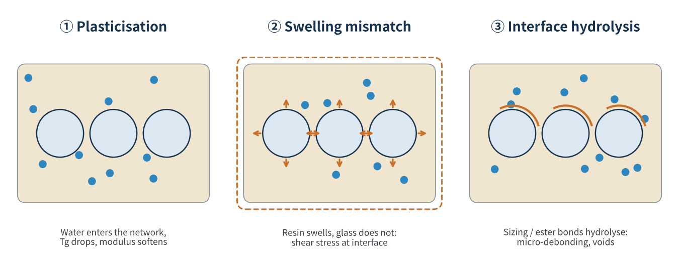 Figure 2 Three effects of absorbed water in a composite (schematic)