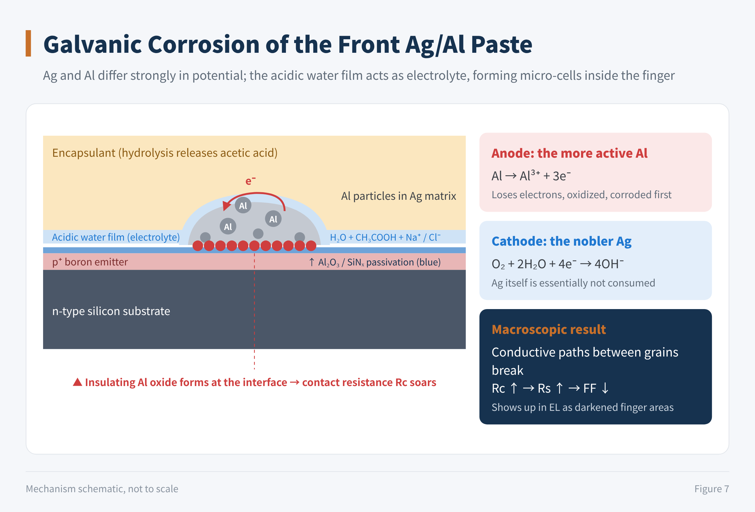 Figure 7 Galvanic corrosion of the front Ag/Al paste
