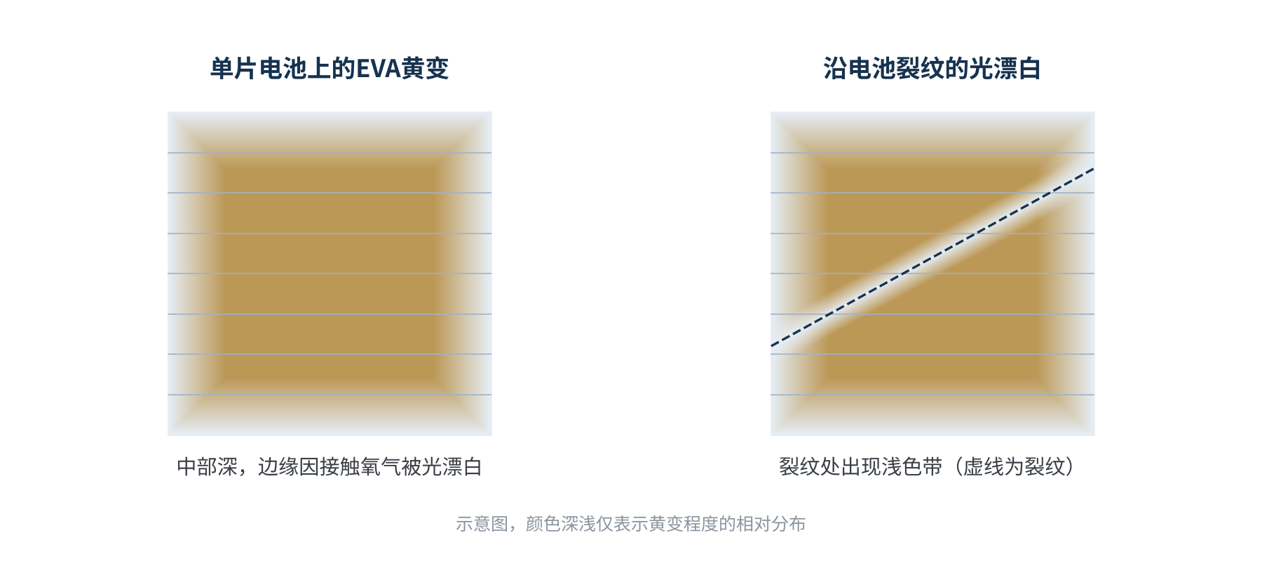 图2　EVA黄变的典型形态示意：中部深、边缘与裂纹处被光漂白