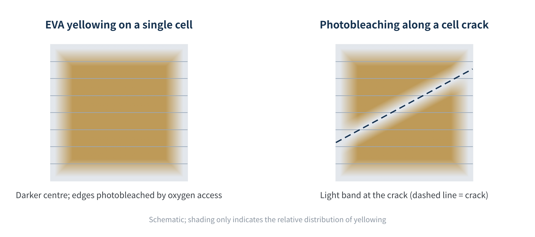 Figure 2　Typical EVA yellowing pattern: dark centre, photobleached edges and cracks