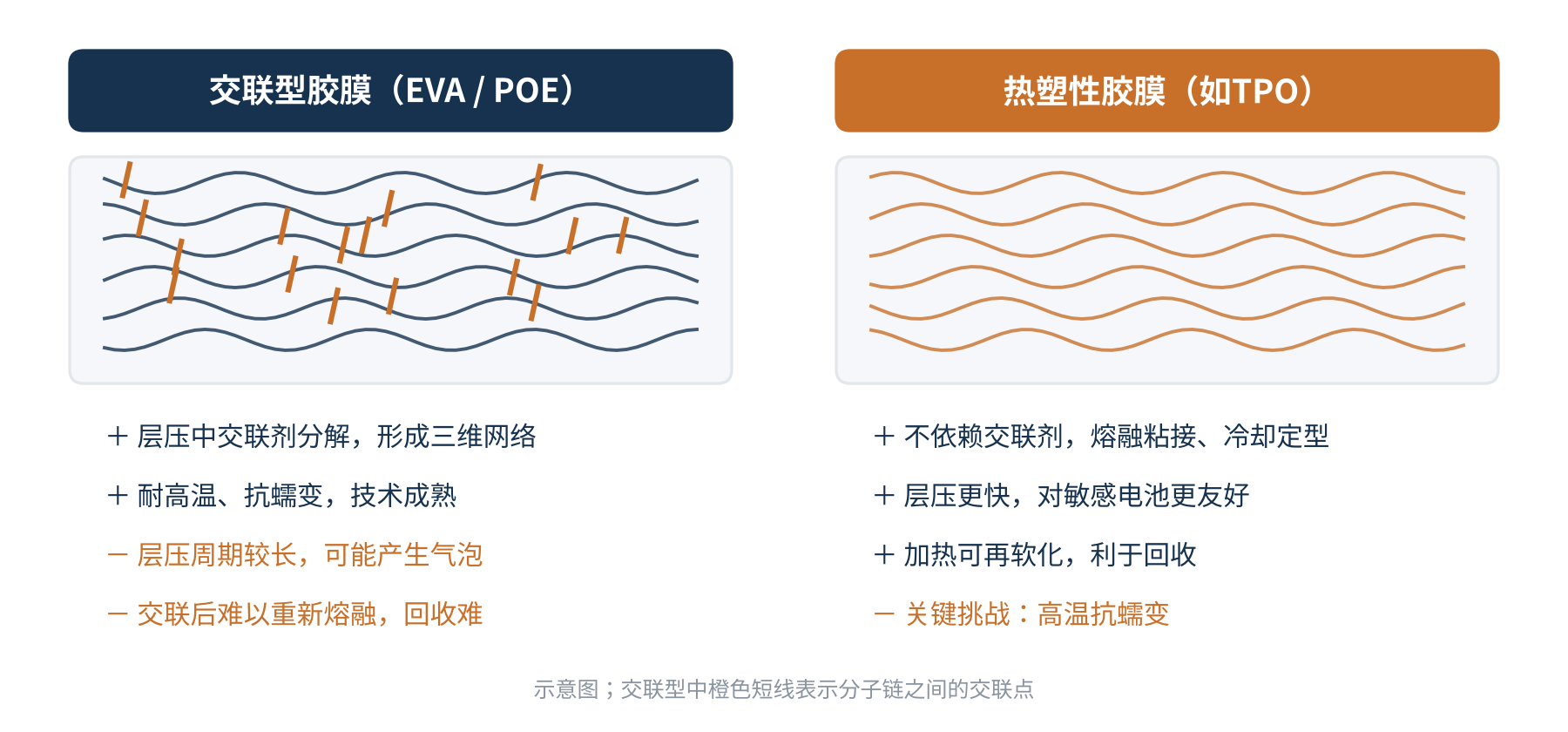 图2 交联型胶膜与热塑性胶膜的对比(示意)