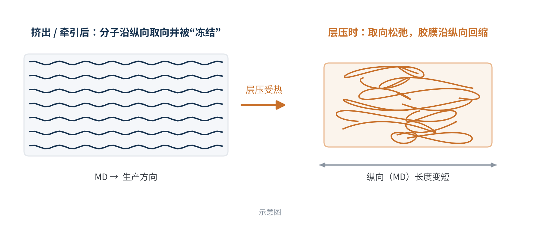 图2 胶膜收缩的成因示意:取向被“冻结”,受热后释放