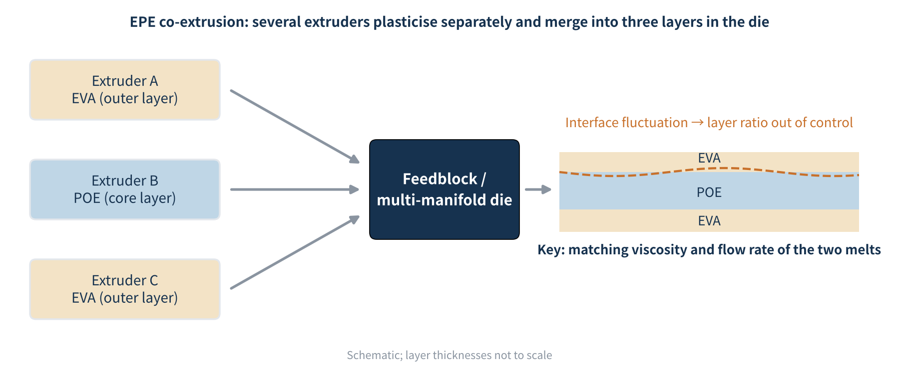 Figure 3　EPE multilayer co-extrusion (schematic)