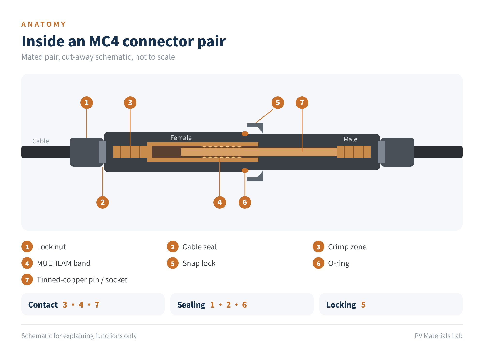 Figure 3　Inside an MC4 connector pair (not to scale)